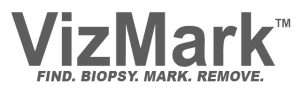 vizmark-logo
